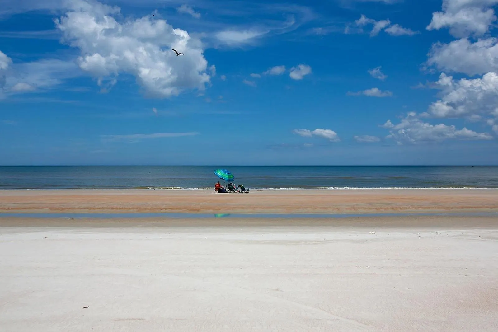 Oceanfront Penthouse, Ocean Views, Steps To Beach With Pool Daytona Beach ABD